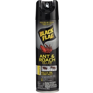 [11031] BLACK FLAG A&R 17.5oz UNSCENTED