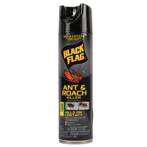 [11033] BLACK FLAG A&R 17.5oz SPRING FRESH