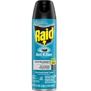 [1714] Raid Ant Killer 17.5oz Pine Forest Fresh