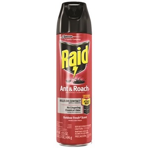 [21613] Raid Ant&Roach Outdoor Fresh 17.5oz